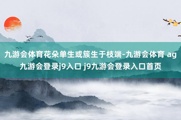 九游會(huì)體育花朵單生或簇生于枝端-九游會(huì)體育 ag九游會(huì)登錄j9入口 j9九游會(huì)登錄入口首頁(yè)